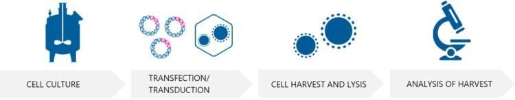 Viral Vector Production CDMO - Biovian