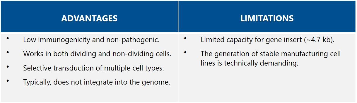 Viral Vector and gene therapy basics summarized - Biovian